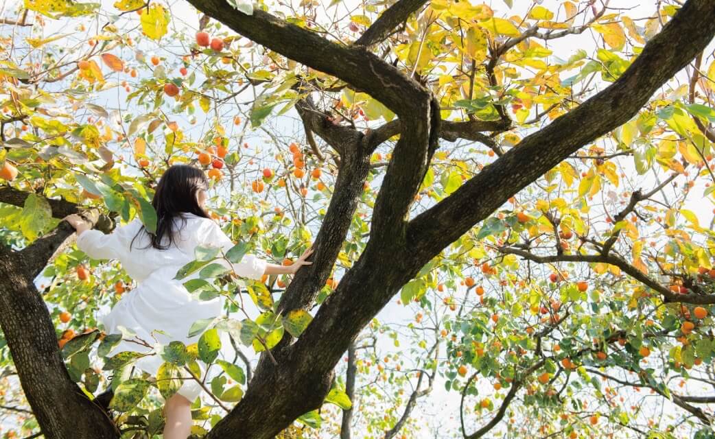明日 わたしは柿の木にのぼる ブランドイメージ