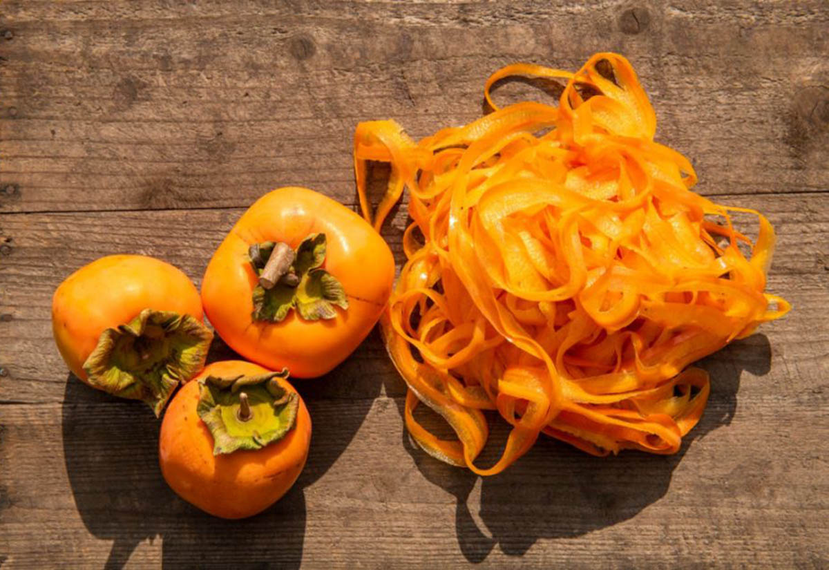 福島県国見町の柿畑の風景